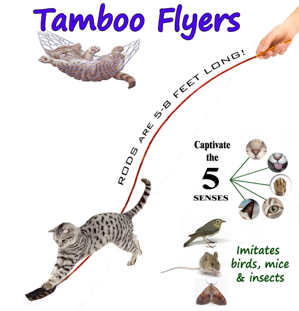 interactive cat toy comparison