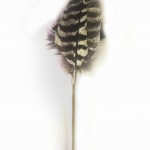 Natural CatTamboo™ Wild Turkey Wing Feather Toy