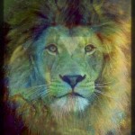 solar lion leo image
