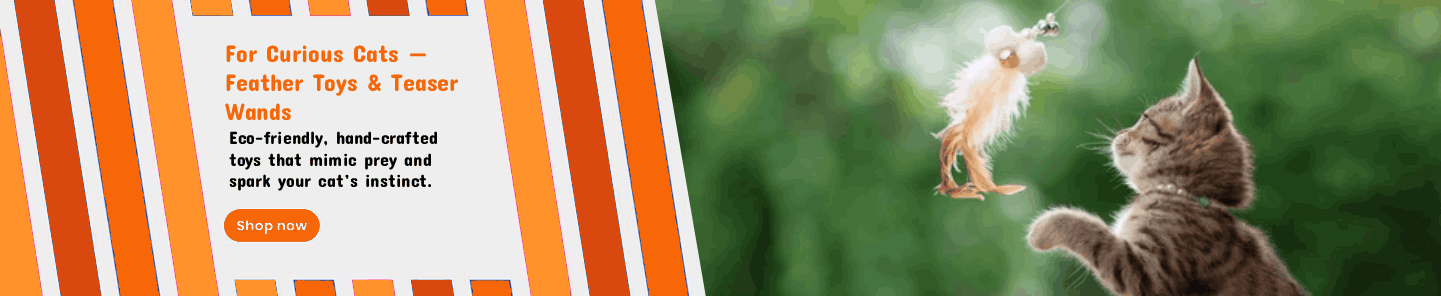 New Project - 2025-11-27T142613.701