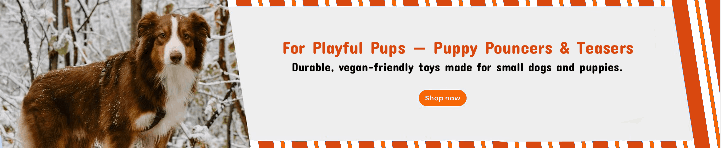 New Project - 2025-11-27T143546.643