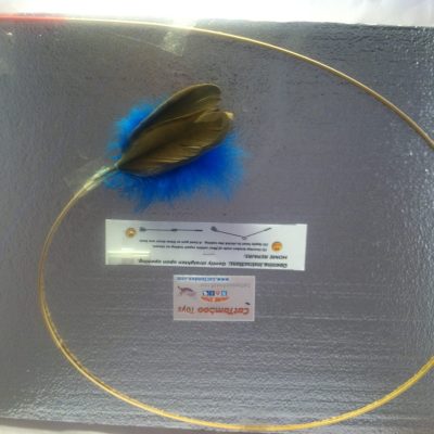 aqua-blue-cat-toy-goose-feather