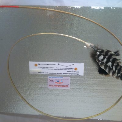 natural-cat-toy-cattamboo-black-white-striped-wild-turkey-wing-feathers