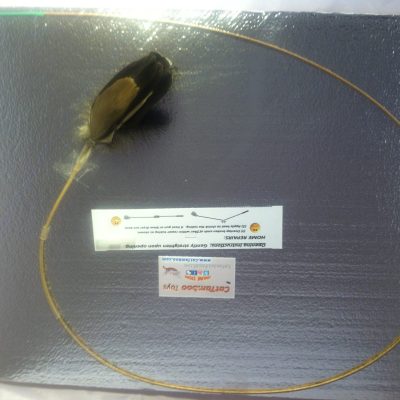 natural-goose-feather-toys