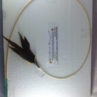 natural_cat_toy_pheasant