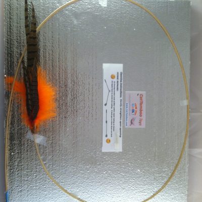 orange-cat-toy-pheasant