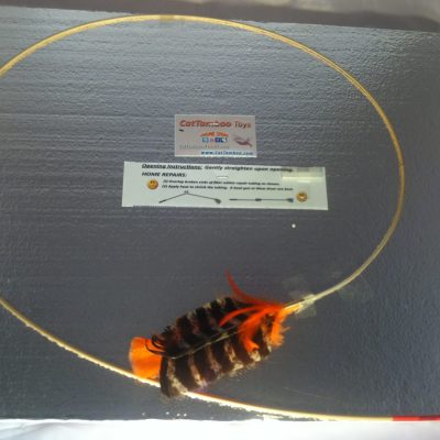 orange-cat-toy-turkey-wing