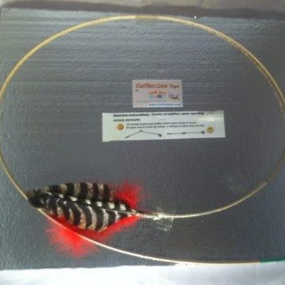 red-cat-toy-turkey-wing-feathers-e1611028459721